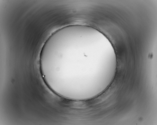 X0000103961479200809191500