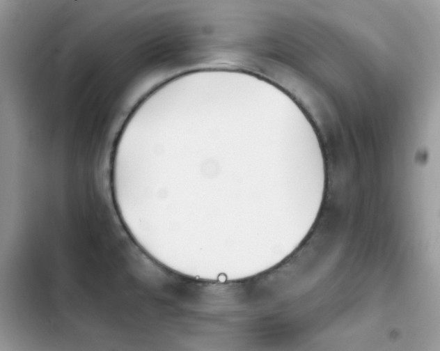 X0000103961480200809191500