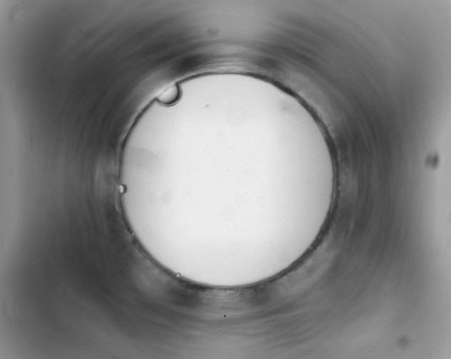 X0000103961481200809191500