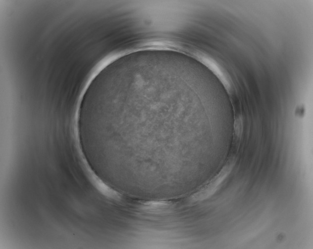 X0000103961482200809191500