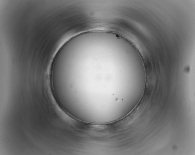 X0000103961483200809191500