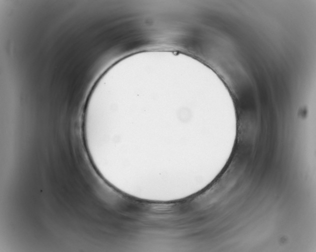 X0000103961484200809191500