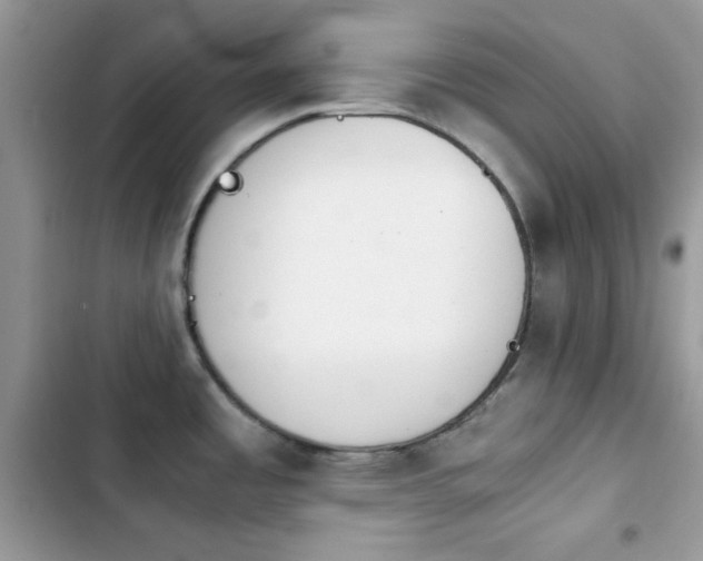 X0000103961485200809191459