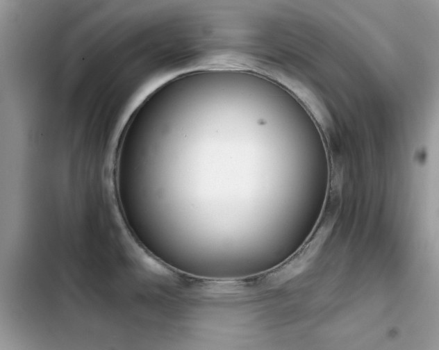 X0000103961486200809191459