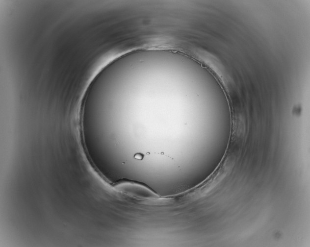 X0000103961487200809191459