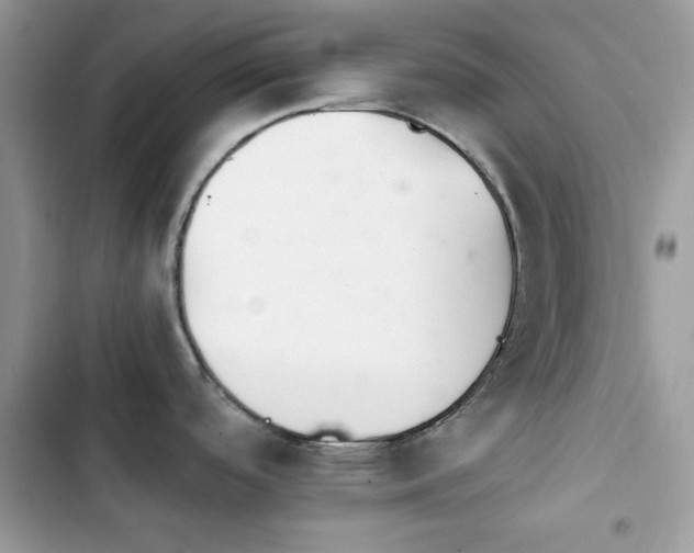 X0000103961488200809191459