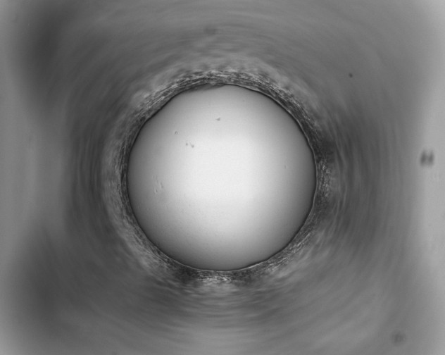 X0000103961489200809191459