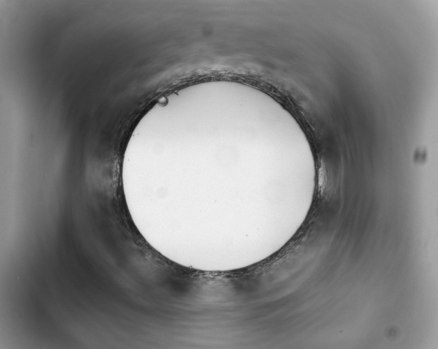 X0000103961492200809191459
