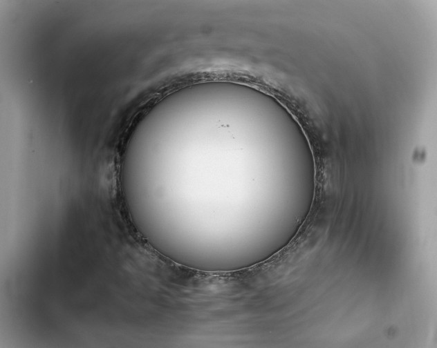 X0000103961493200809191459