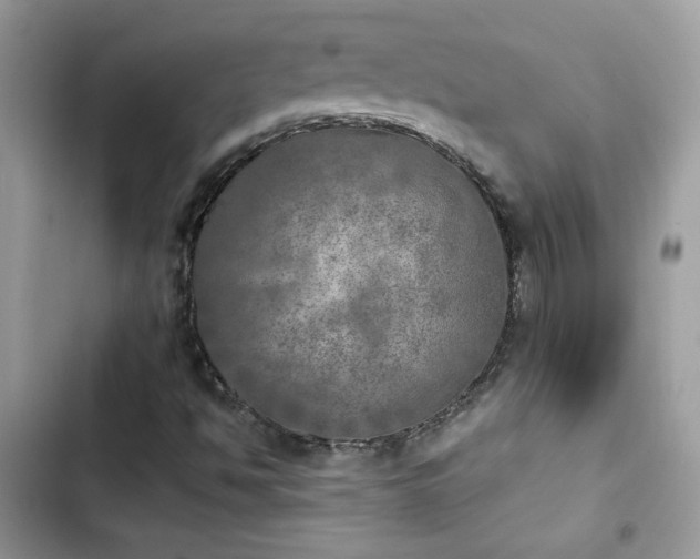 X0000103961494200809191459