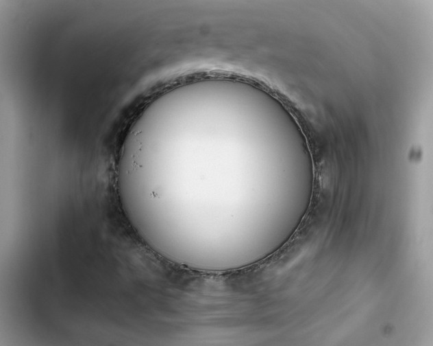 X0000103961495200809191459