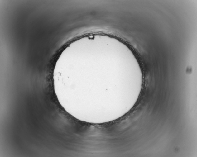 X0000103961496200809191459