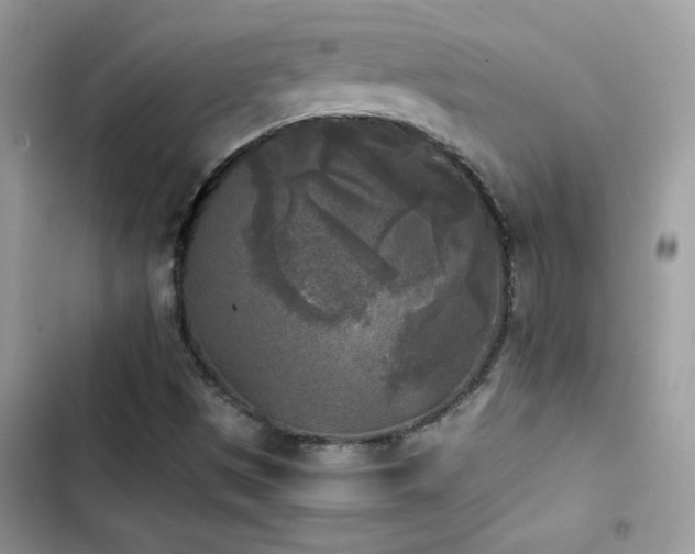 X0000103961497200809191459