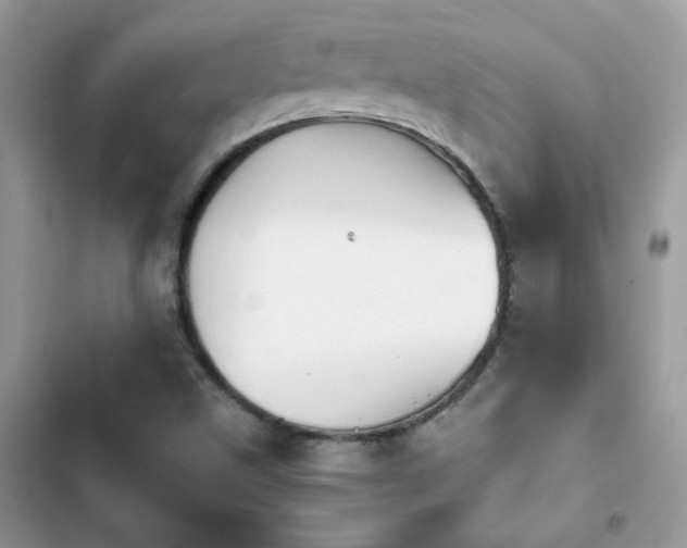 X0000103961499200809191459