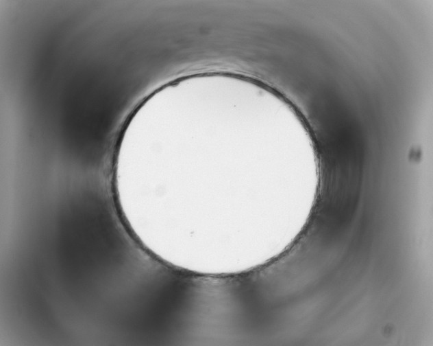 X0000103961500200809191459