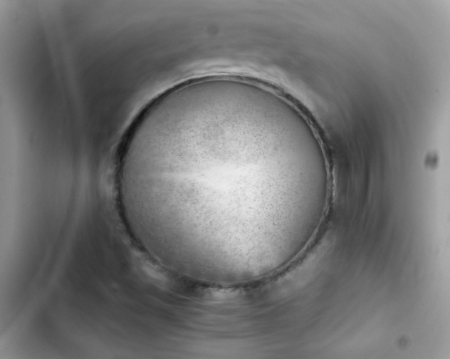X0000103961501200809191459