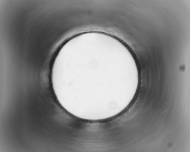 X0000103961502200809191459