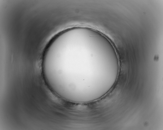 X0000103961503200809191459