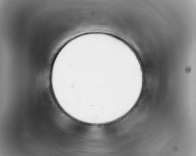 X0000103961504200809191459