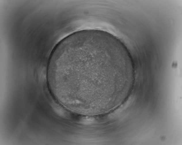 X0000103961505200809191459