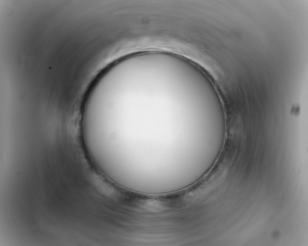 X0000103961507200809191459