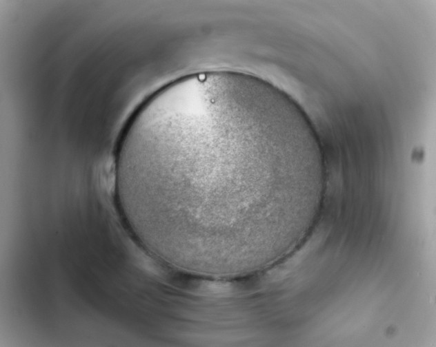 X0000103961509200809191459