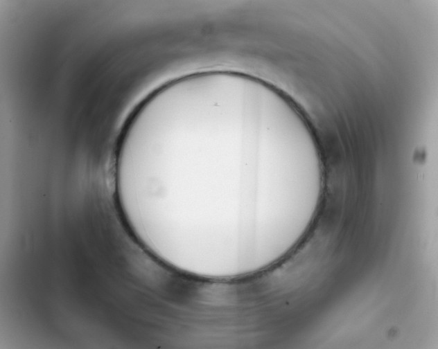 X0000103961510200809191459