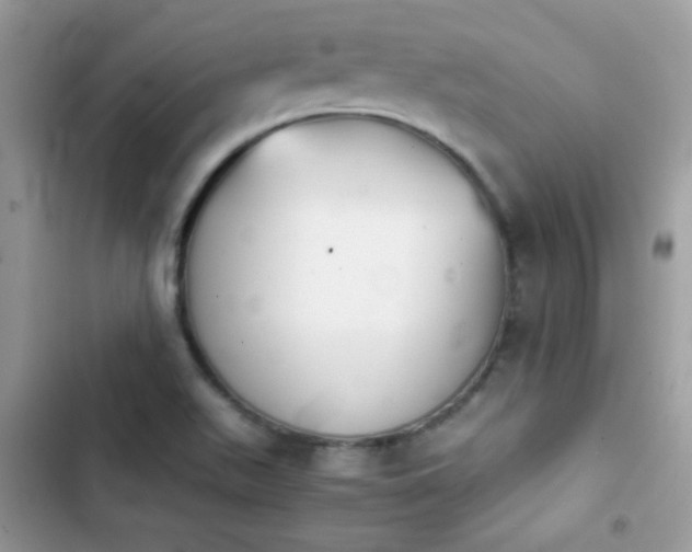 X0000103961511200809191459