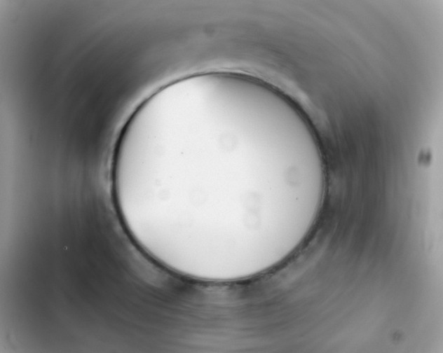 X0000103961512200809191459
