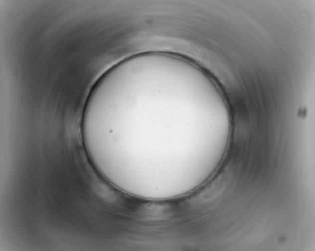 X0000103961513200809191459