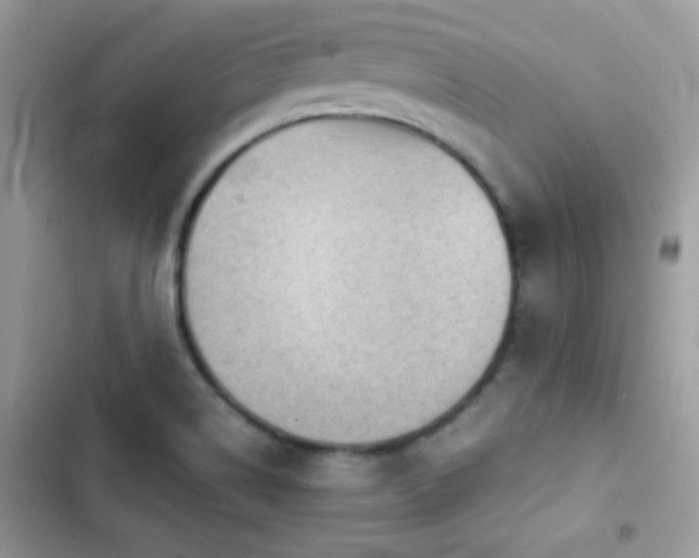 X0000103961514200809191459