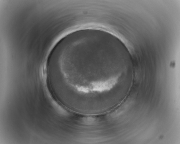 X0000103961515200809191459