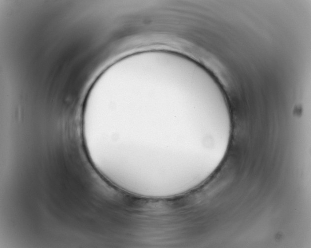 X0000103961516200809191459