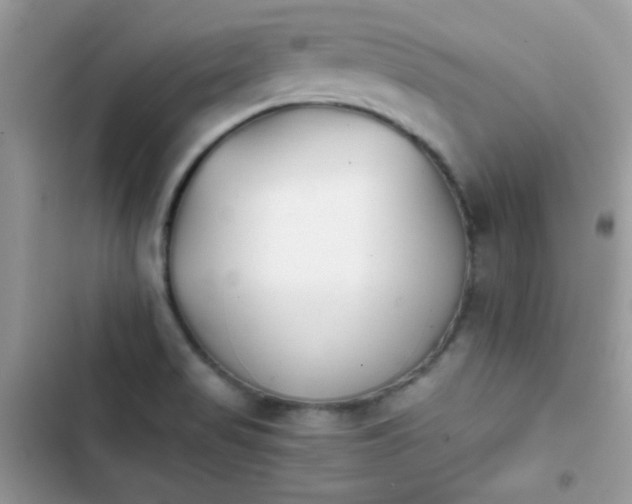 X0000103961517200809191459