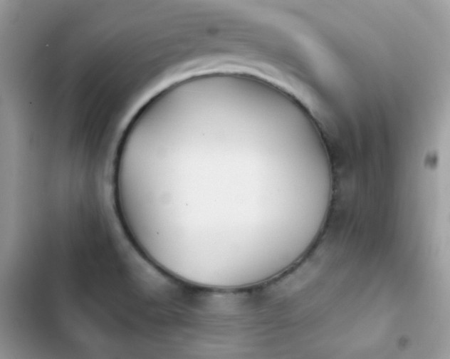 X0000103961518200809191459