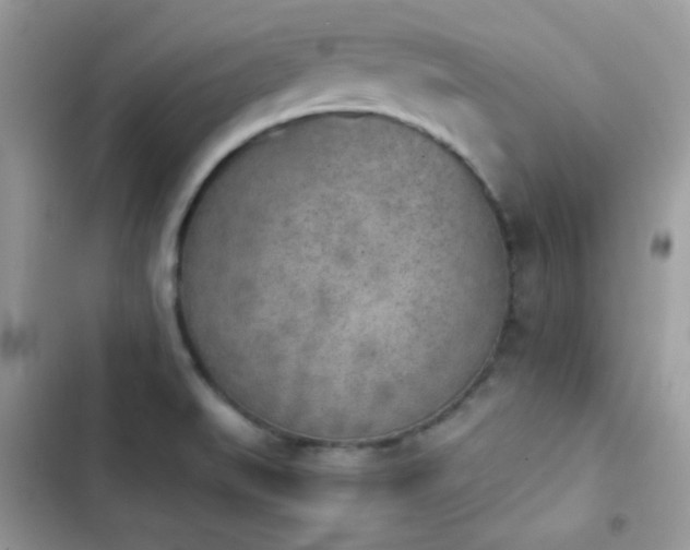 X0000103961519200809191459