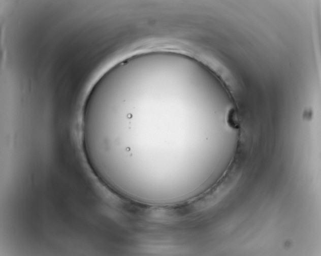 X0000103961520200809191459