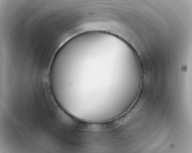 X0000103961521200809191459