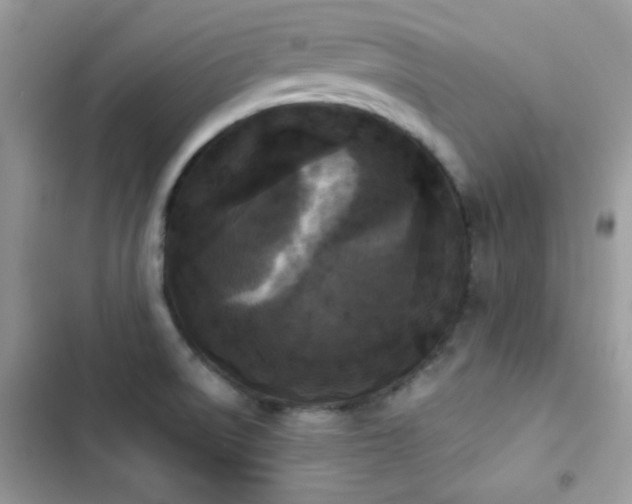 X0000103961522200809191459
