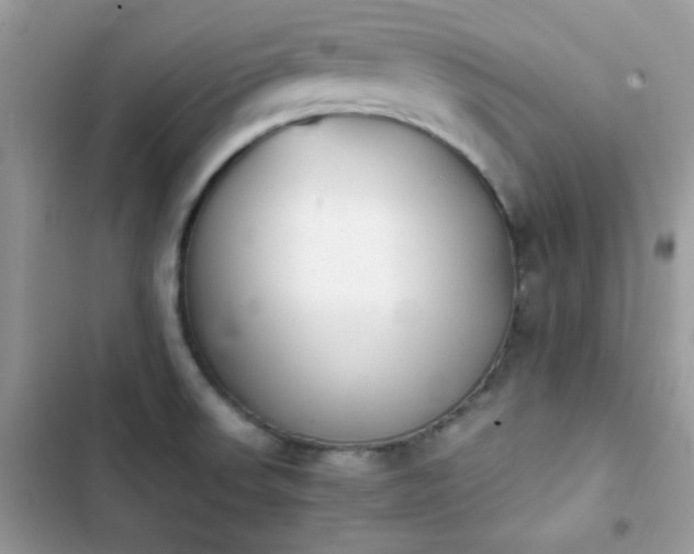 X0000103961523200809191459