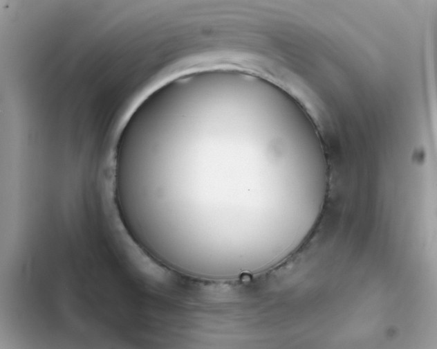 X0000103961524200809191459