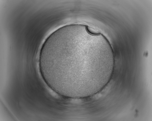 X0000103961525200809191459