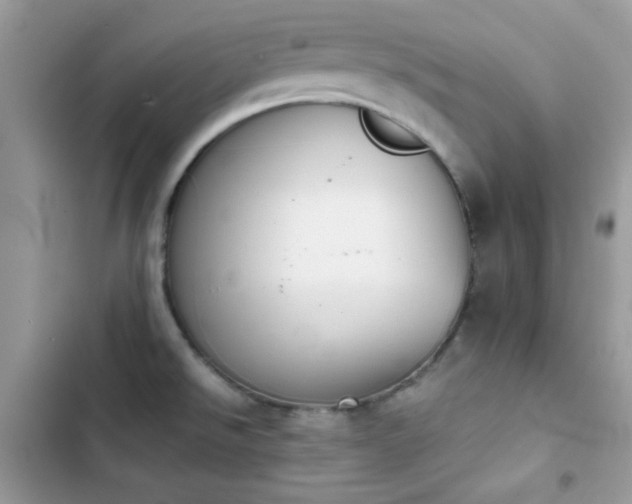X0000103961526200809191459