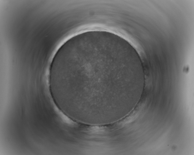 X0000103961527200809191459