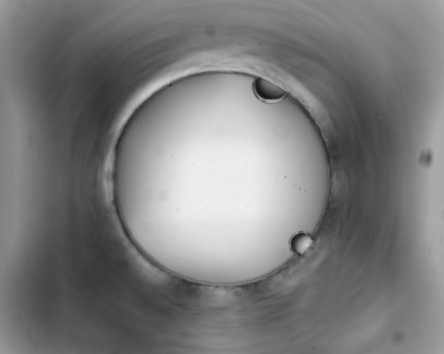 X0000103961528200809191459