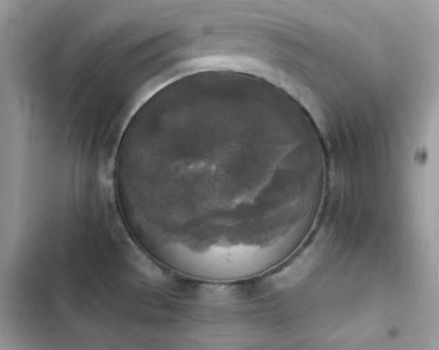 X0000103961529200809191459