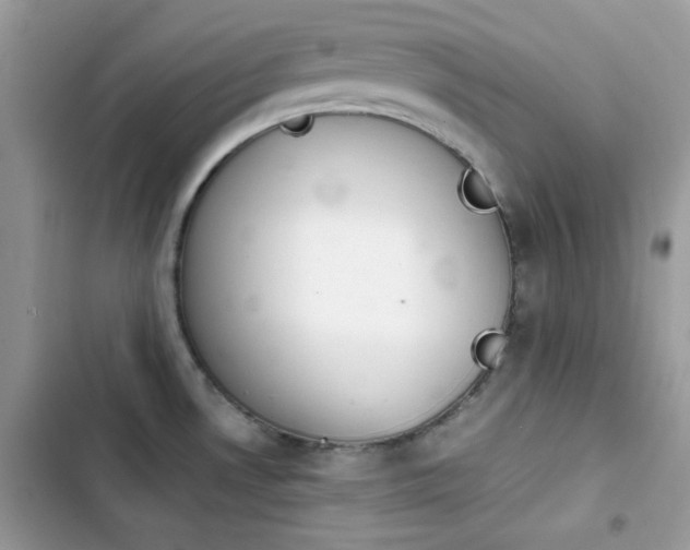 X0000103961530200809191459