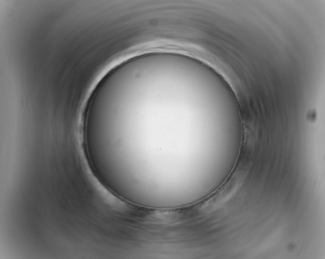 X0000103961531200809191459