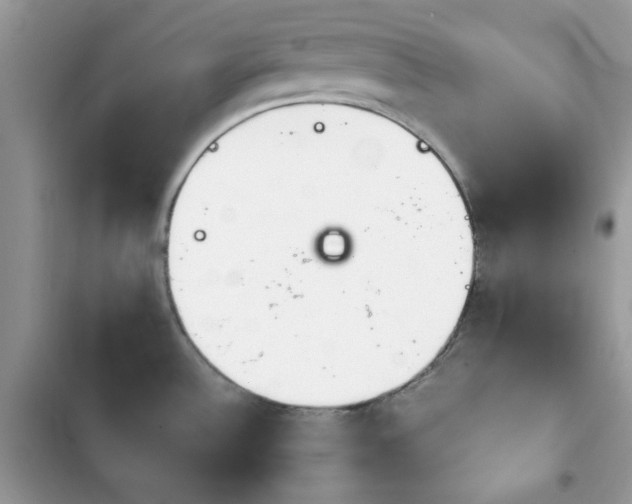 X0000103961532200809191459