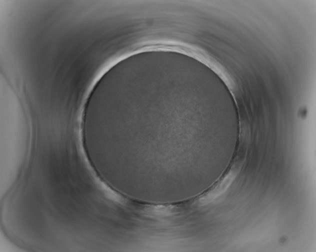 X0000103961533200809191459
